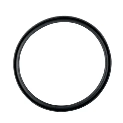 Dichtungsring für Deckel Lunchpot zu Art. Nr.: 12786
