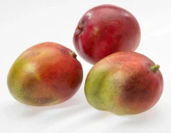 Mangoteiler PARTI